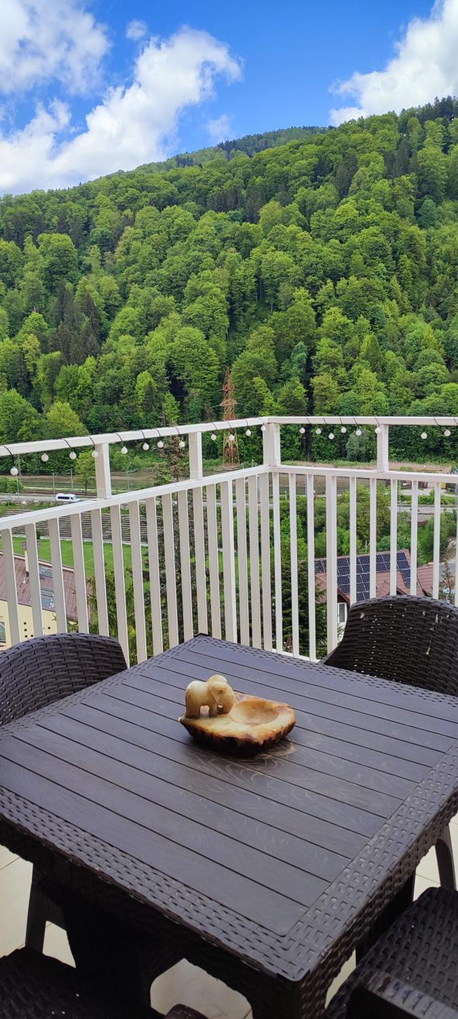 Apartament Duplex Belle View Sinaia-Free Parking Zewnętrze zdjęcie