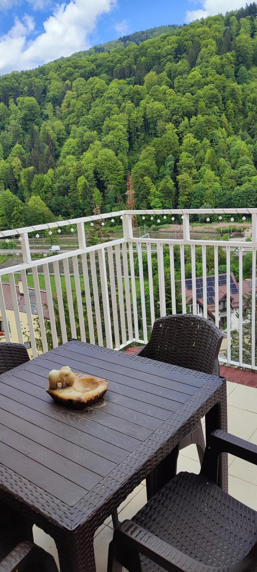 Apartament Duplex Belle View Sinaia-Free Parking Zewnętrze zdjęcie